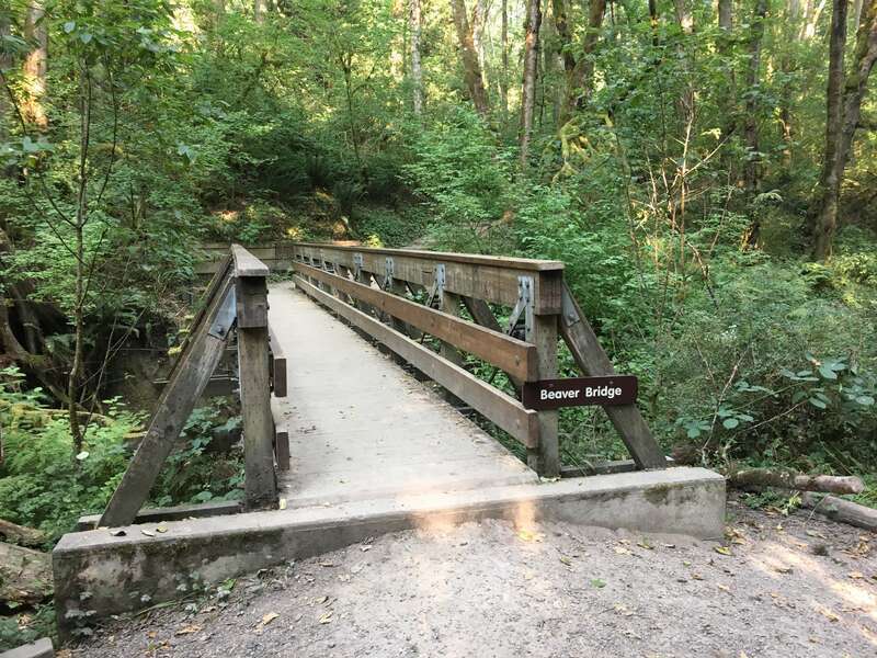 Beaver Bridge in Tryon Creek State Natural Area in Multnomah County, Oregon on August 8, 2017