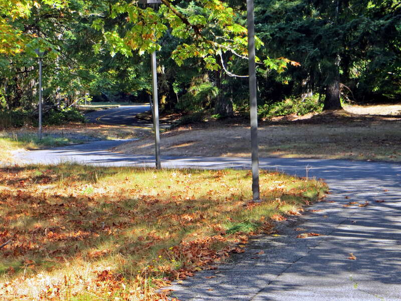 Walking and Biking path at Evergreen State College, Olympia, Washington.