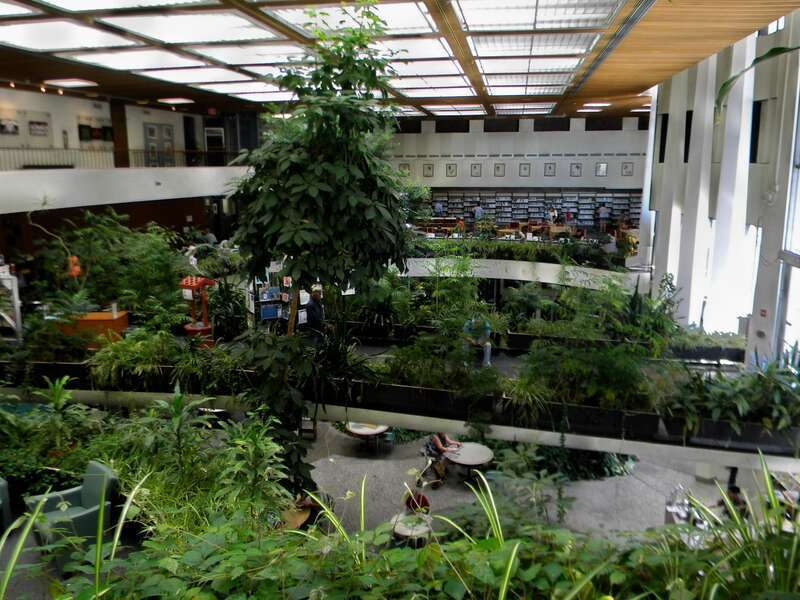 Washoe County Library  The interior of the Library is the extraordinary aspect of this Site.