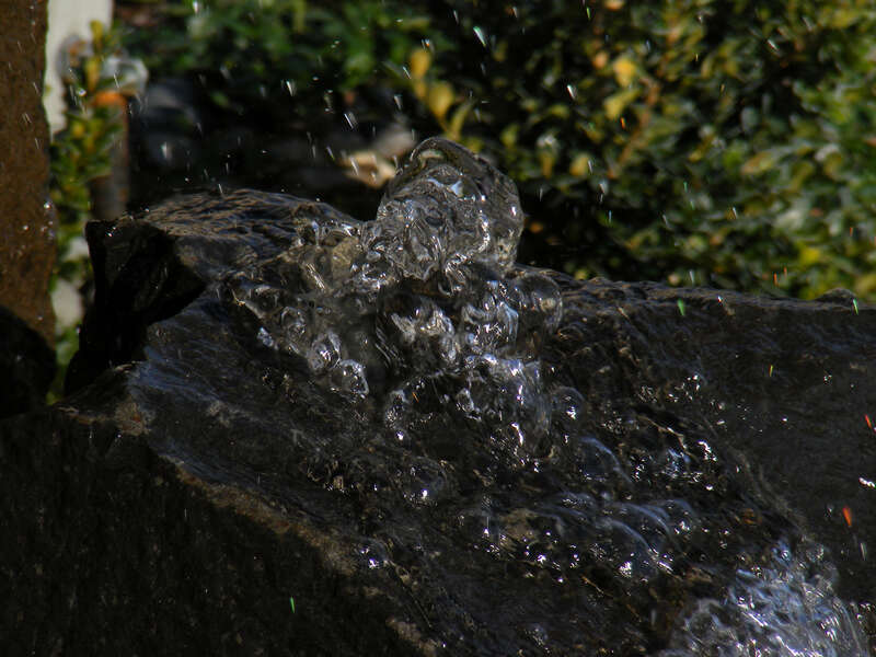 Water bubbling up in a fountain.  The spots seen in the picture are are not noise - they are water droplets reflecting the color of plants, flowers, and objects nearby.