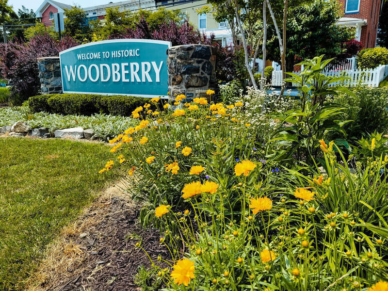 Woodberry is a neighborhood in the north-central area of Baltimore, MD. It is bordered by the Jones Falls and the Jones Falls Expressway, and my office is located on the flip side of that. Some days I walk across the overpass for I-83 over to
