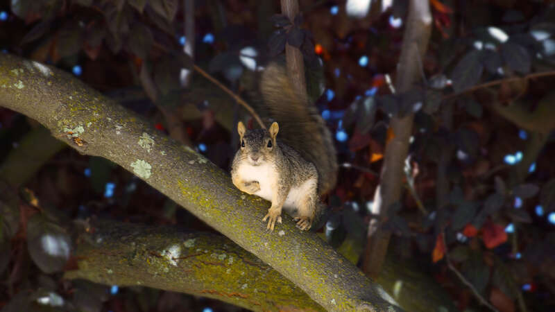 
500px provided description: You Talkin To Me Ps []