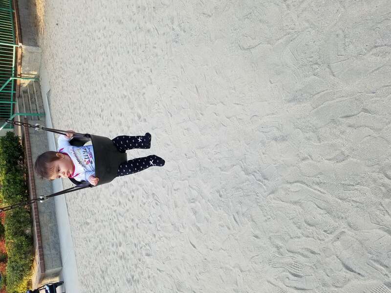 Young child in a swing