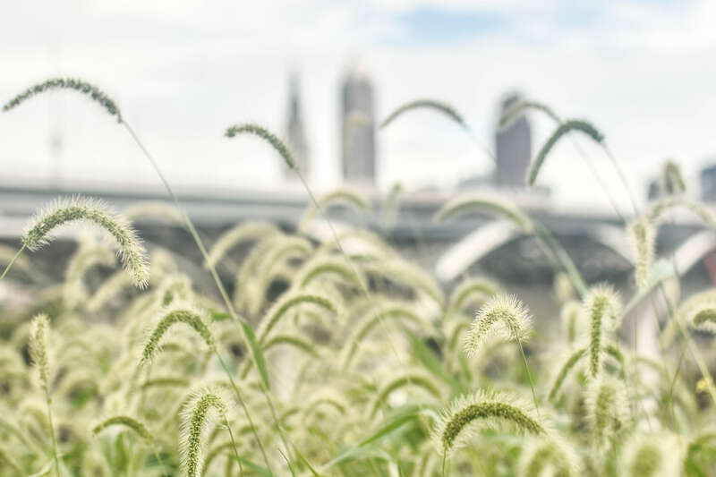 Cleveland Skyline