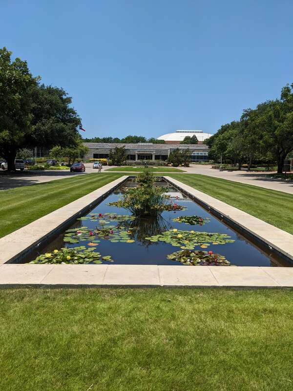 A long rectangular pool by the parking lot with lily pads and other plants.