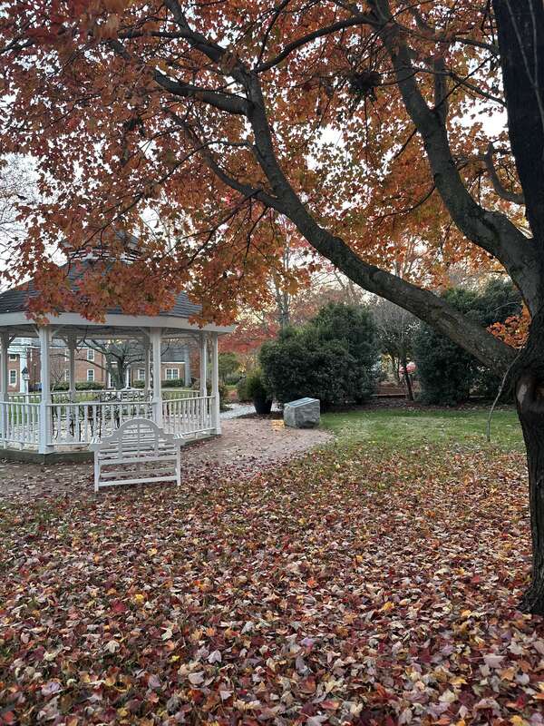 Governor of Morehead School central gardens in Autumn