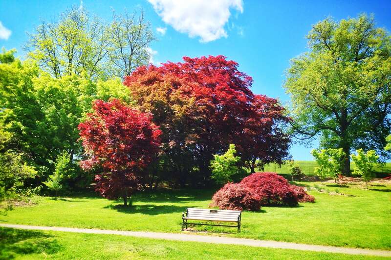 Highland Park in Rochester, NY