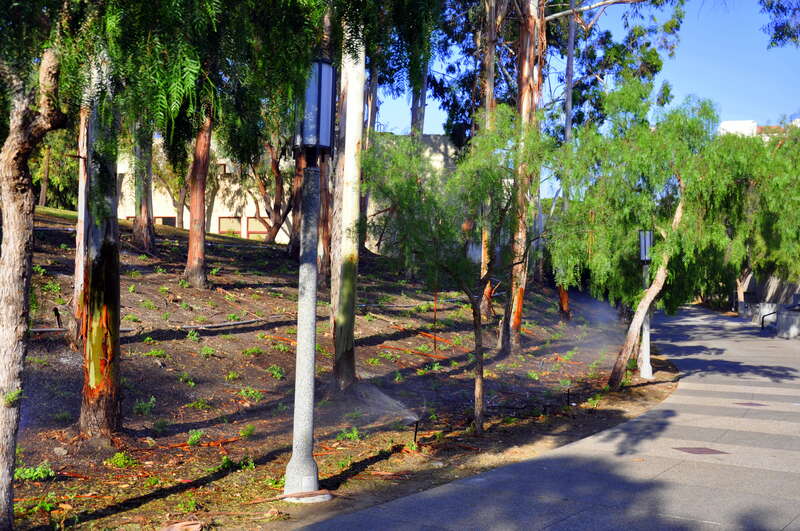 Irvine, CA, USA