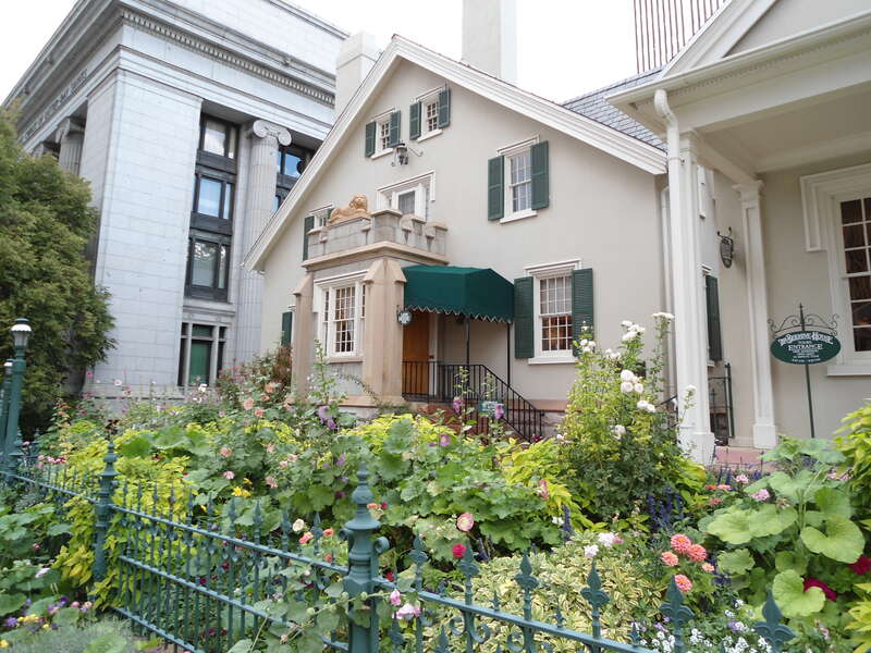 Lions House