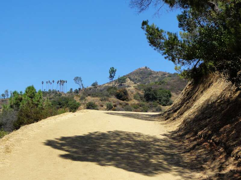 Pohled od jihu na vrchol Mount Hollywood.