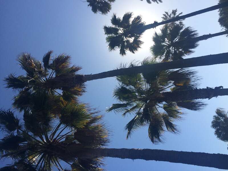 California, USA - April 2016

Los Angeles