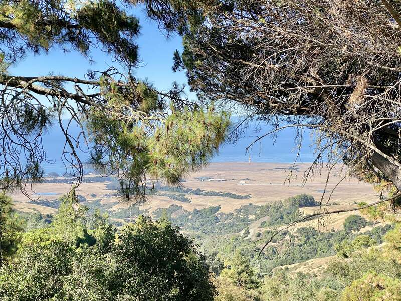 Built in 1919–1947, this large Spanish Colonial Revival and Mediterranean Revival-style mansion, known as Hearst Castle, or La Cuesta Encantada, was designed by Julia Morgan for William Randolph Hearst, a significant publisher.  The mansion and its