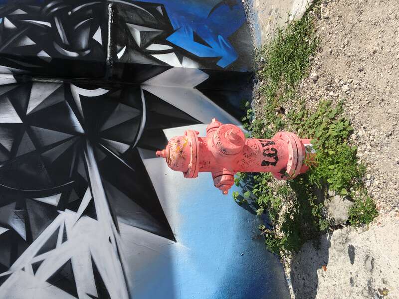 Wynwood