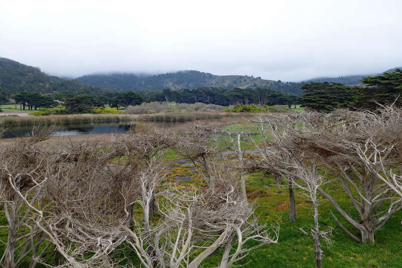 Laguna Salada