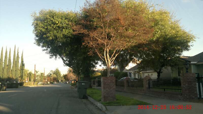 Arcadia, CA, USA