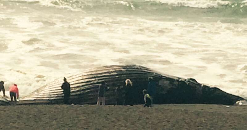 Sharp Park Beach