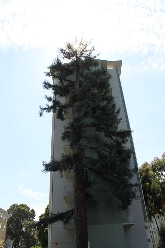Berkeley