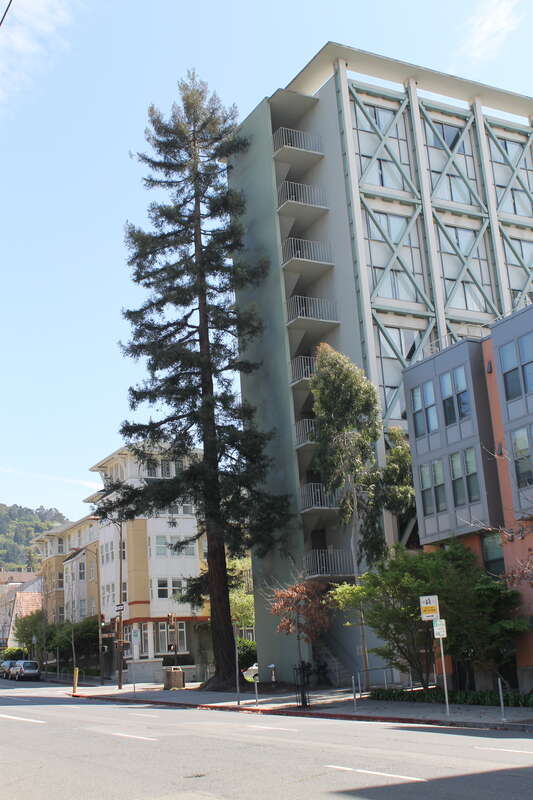 Berkeley