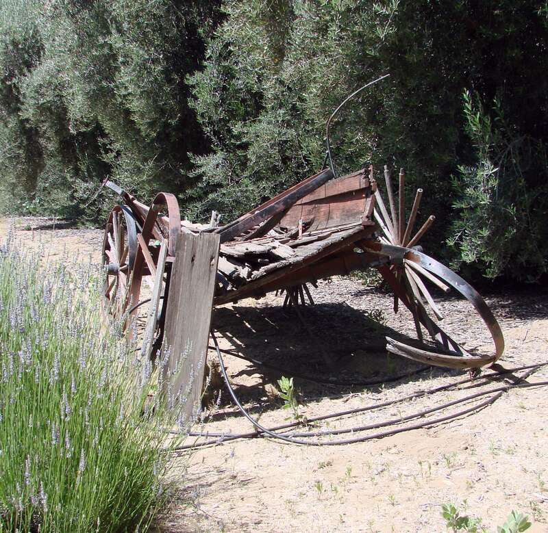 (1 in a multiple picture set)
This old wagon, once used on the Highland Springs Ranch north of Beumont, CA, had truly seen better days.  The spokes had rotted off the wheels, and the bed had collapsed.  It is a shame that back in the day people