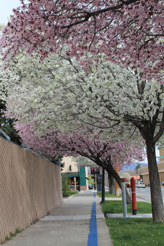 Carson City
