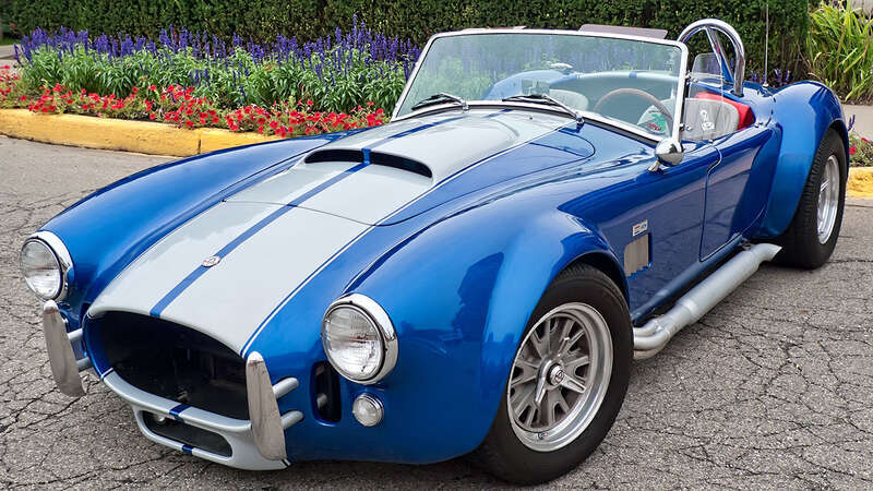 Cobra