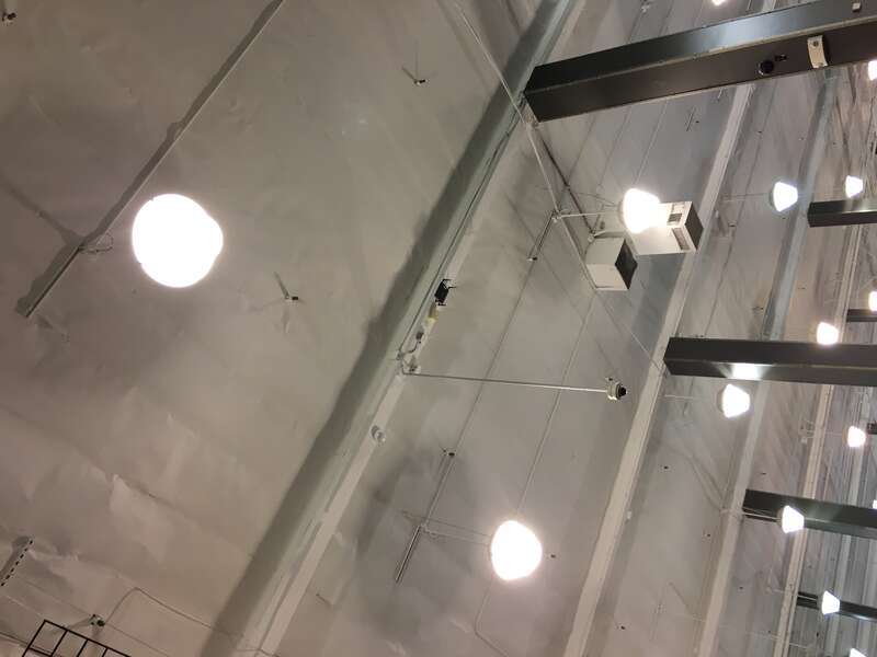 DSW, San Jose, CA
