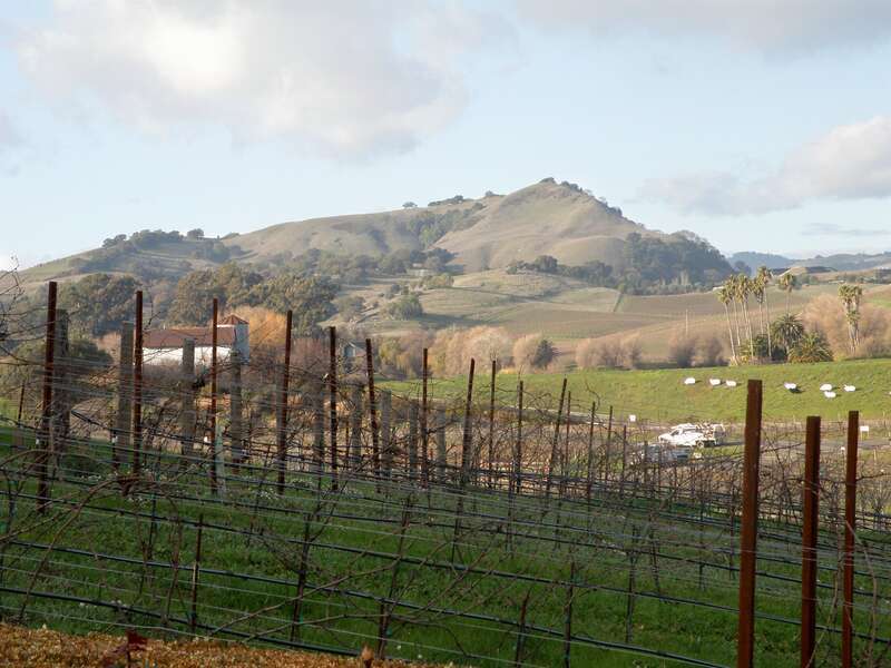 Domaine Carneros, Napa Valley, CA USA