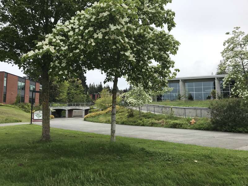Front view of Peninsula College, Port Angeles, Washington taken streetview