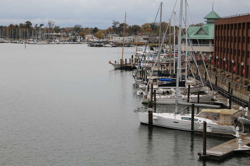 Hampton Marinas