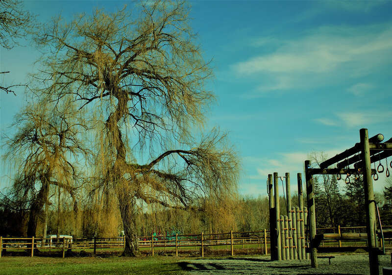 
500px provided description: Clicked on Fe 12th at Lake Sammamish state park. [#nature ,#parks]