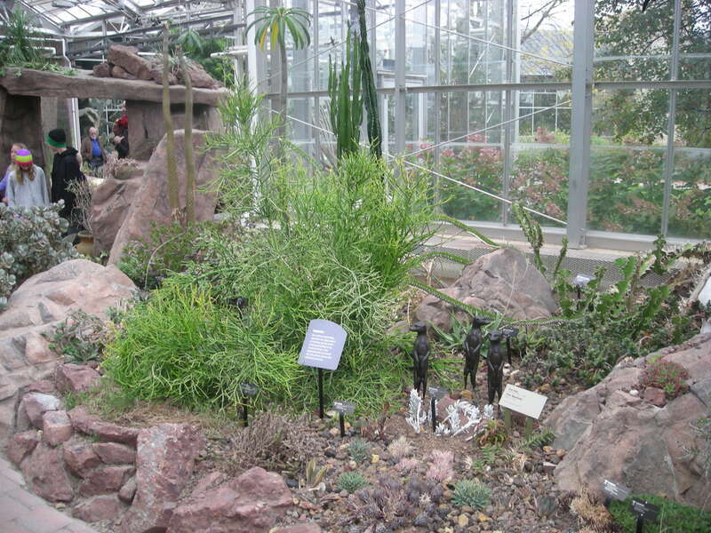 The interior of the Earl and Donnalee Holton Arid Garden at the Frederik Meijer Gardens &amp; Sculpture Park in Grand Rapids Township, Michigan (United States).