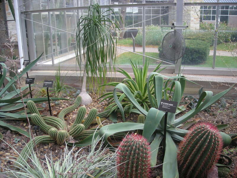 The interior of the Earl and Donnalee Holton Arid Garden at the Frederik Meijer Gardens &amp; Sculpture Park in Grand Rapids Township, Michigan (United States).