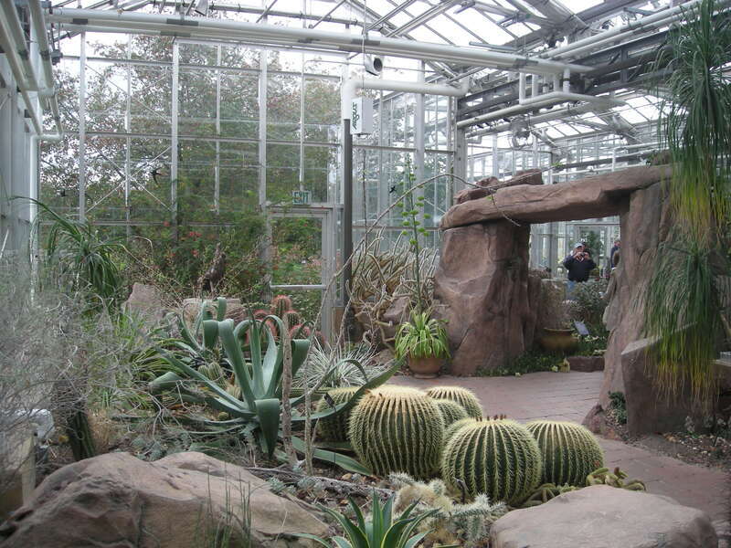 The interior of the Earl and Donnalee Holton Arid Garden at the Frederik Meijer Gardens &amp; Sculpture Park in Grand Rapids Township, Michigan (United States).