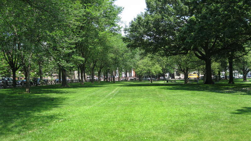 The Upper New Haven Green as it appears two months after the eviction of the Occupy New Haven encampment.