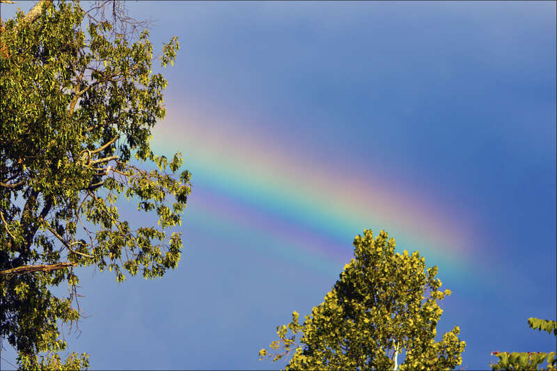 A partial rainbow courtesy of scattered storms in the area.