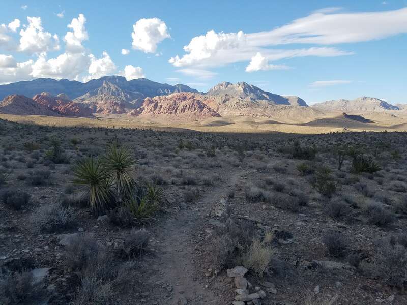 Trail around Nevada