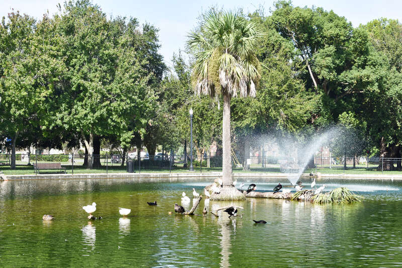 Riverside Park in Jacksonville, Florida.