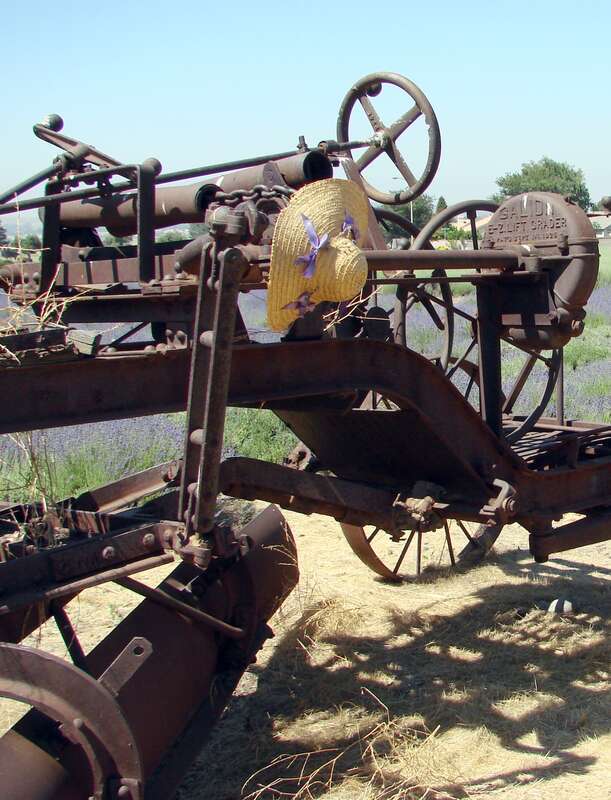 (1 in a multiple picture set)
This is a closer view of the machine shown in the previous pictures. The steering wheel might fool you, because this piece of equipment did not have a drive engine but was pulled. The wheel and other controls just helped