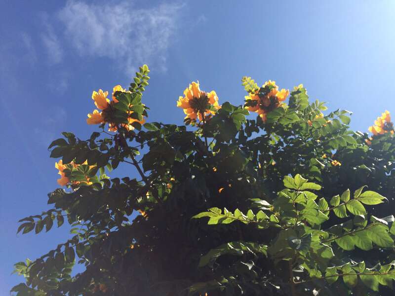 California, USA - September 2016

San Diego in September 2016