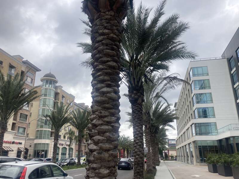 Monterey Park