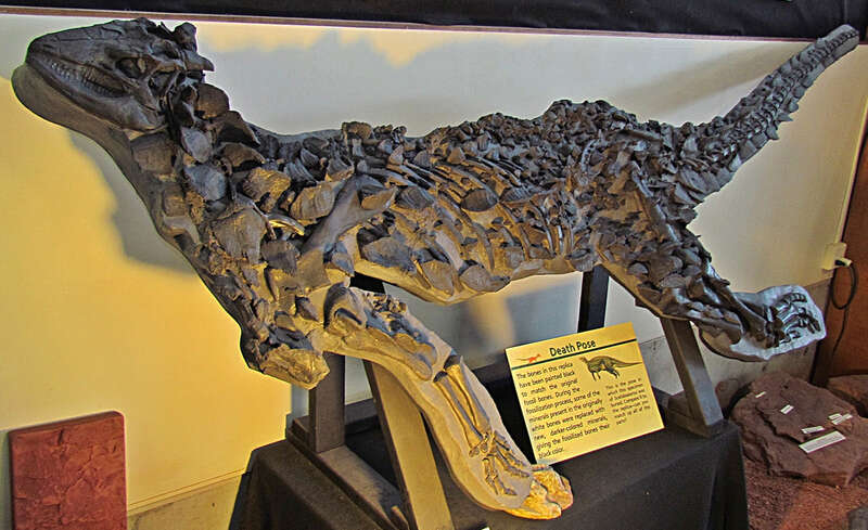In 2000 a virtually complete Scelidosaurus skeleton was discovered in England. This fossil's hundreds of armor plates and spikes are preserved in their life positions, providing extraordinary details about how this dinosaur looked. St. George is the