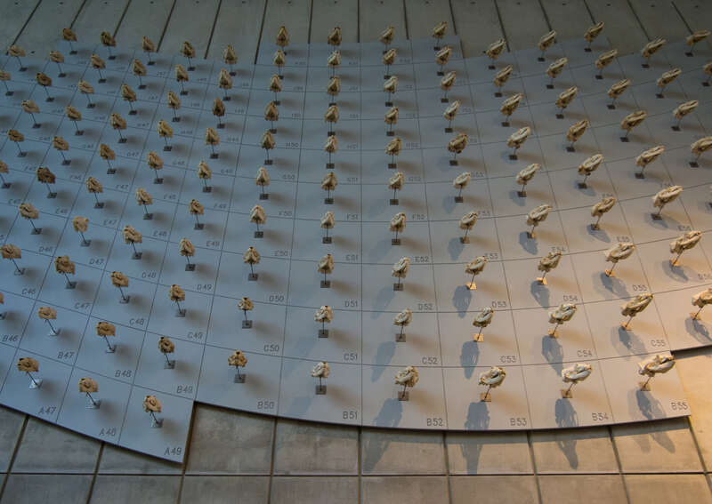 "Sea of skulls" -- mostly sea lion (Otariidae) -- at the California Academy of Sciences.