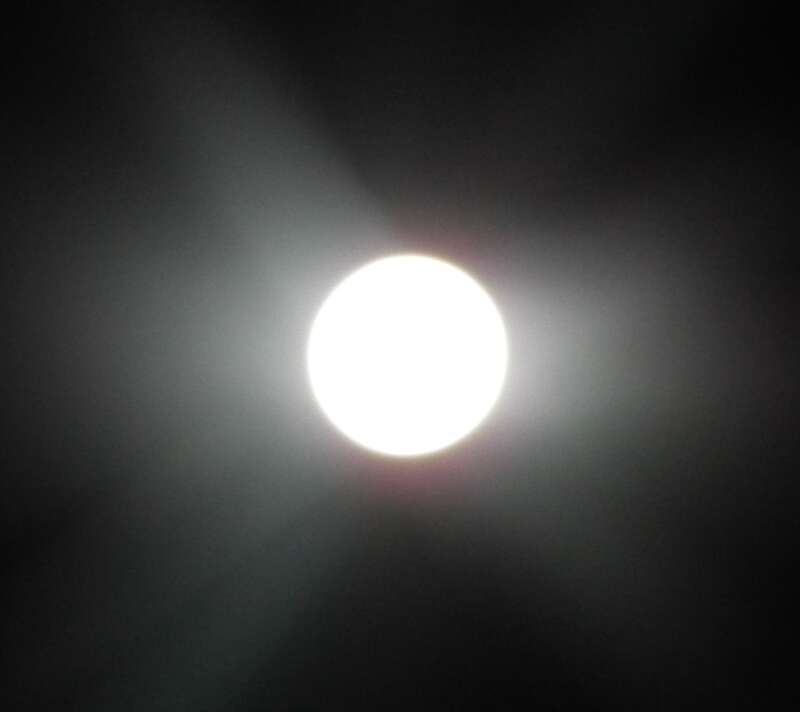 My camera wasn't cooperating too well with the light