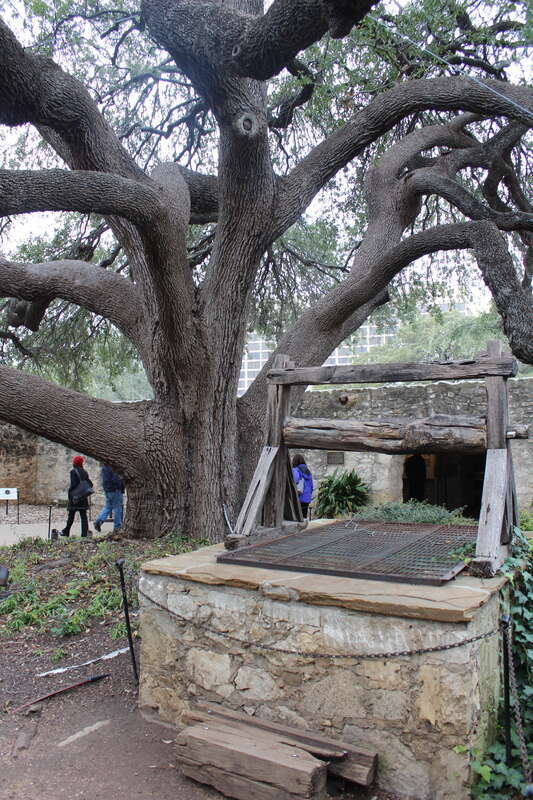 The Alamo, San Antonio, TX USA