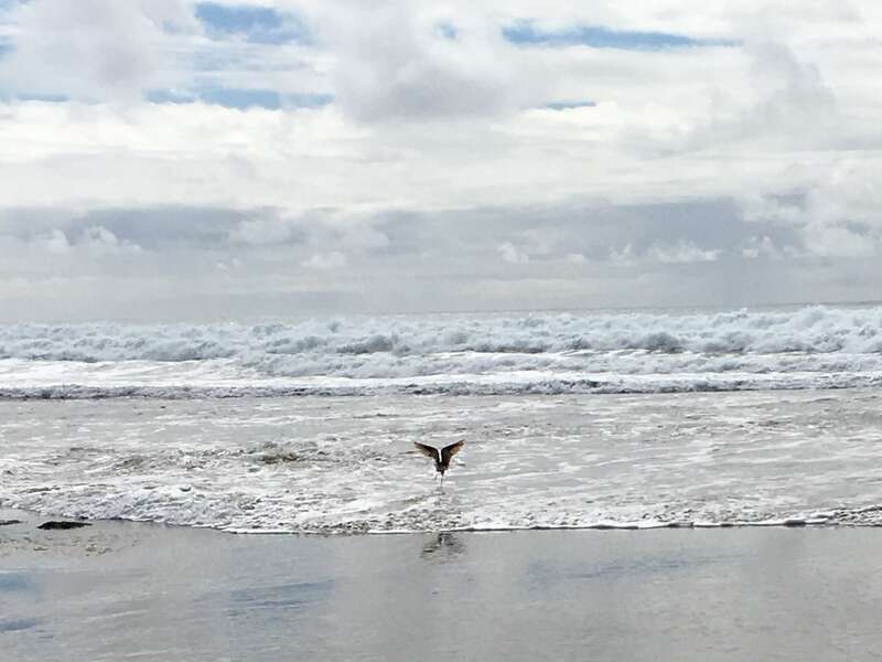 Jalama Beach, Lompoc, Ca.