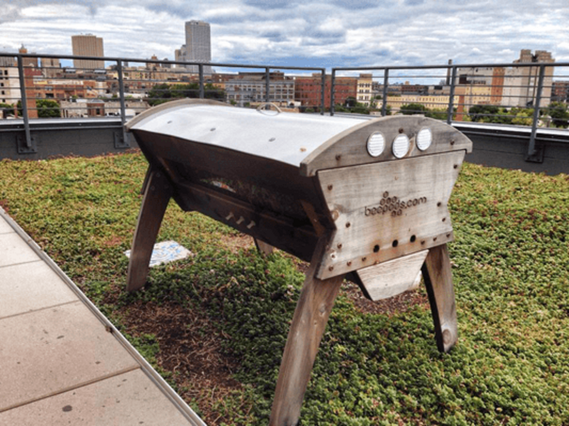 A Beepod Vented-Top-Bar Hive on the roof of a non-profit, CORE/El Centro, overlooks downtown Milwaukee and serves as an education location to teach new beekeepers.