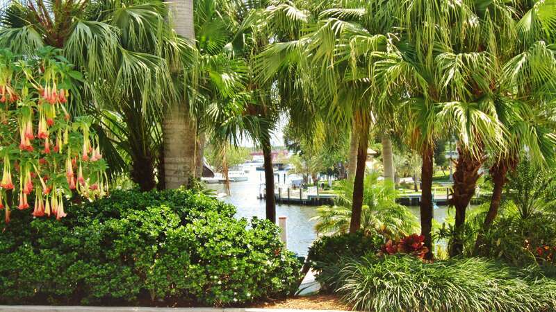 View from the Broward Center For Performing Arts, Riverwalk, Fort-Lauderdale, Florida