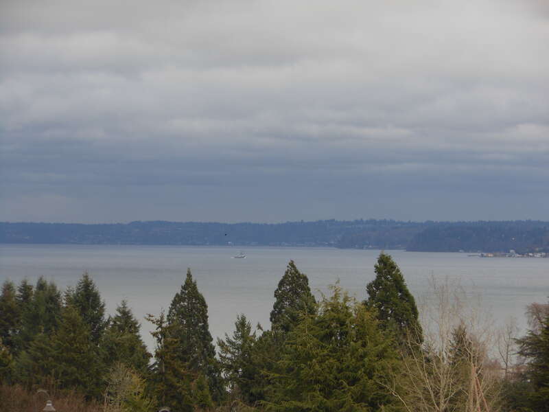 View from the zoo