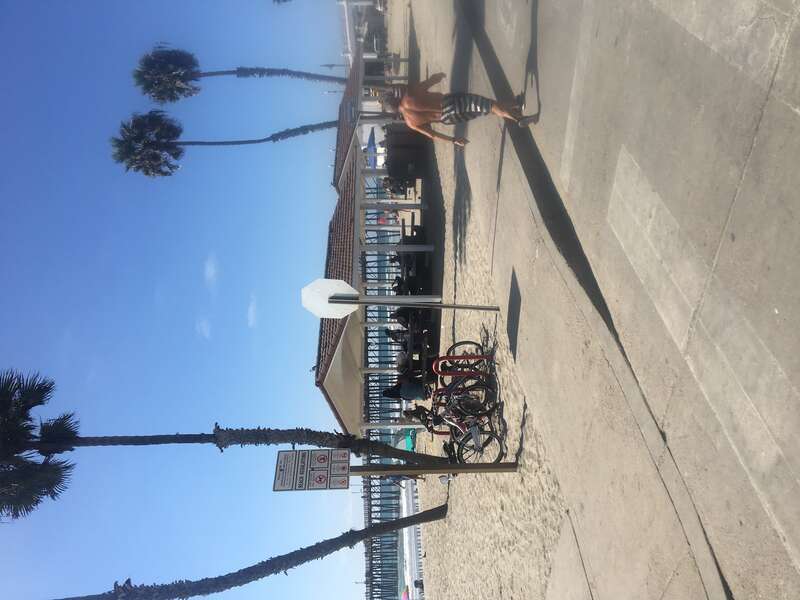 Playground Study