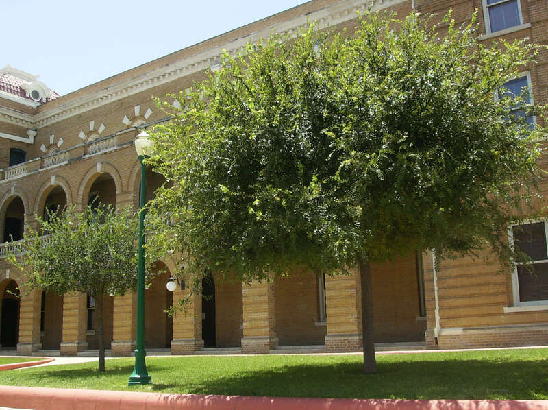 The Webb County Courthouse in Laredo, Texas, United States in 2007.